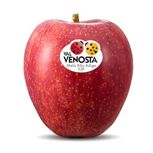 mela-gala-val-venosta