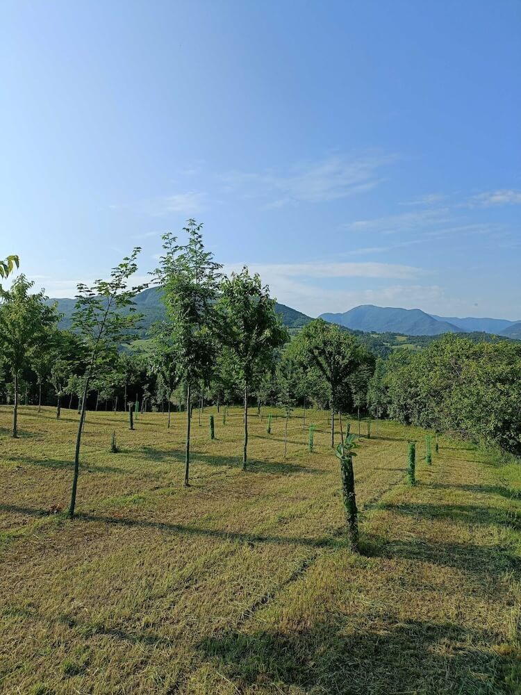oasi-biodiversita-agromonte