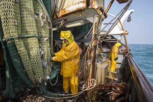 pescatore