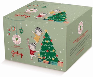 panettone-solidale-galup-e-fondazionepaideia