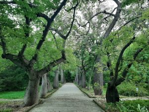 parco-suolo
