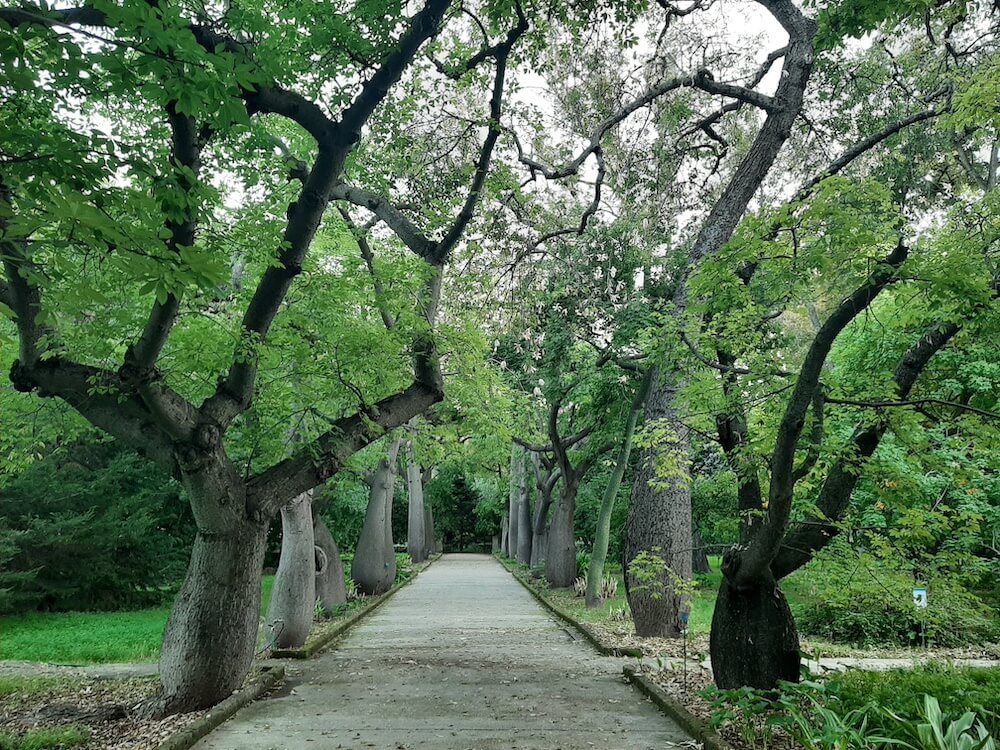 parco-suolo