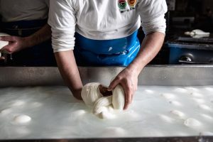 produzione-mozzarella-dop