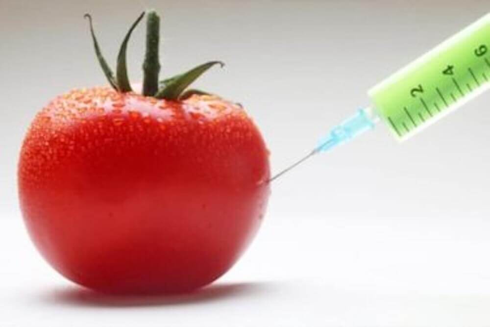 suoloesalute-bio-no-ogm