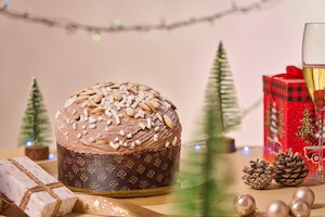 tuccillo-panettone-classico