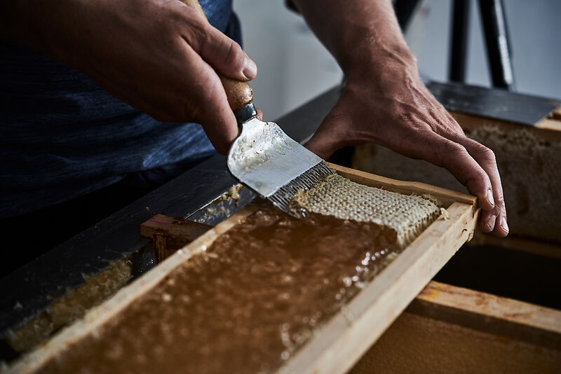 A Terra Madre Due Laboratori Del Gusto Demeter Italia 26 30 Settembre, Torino