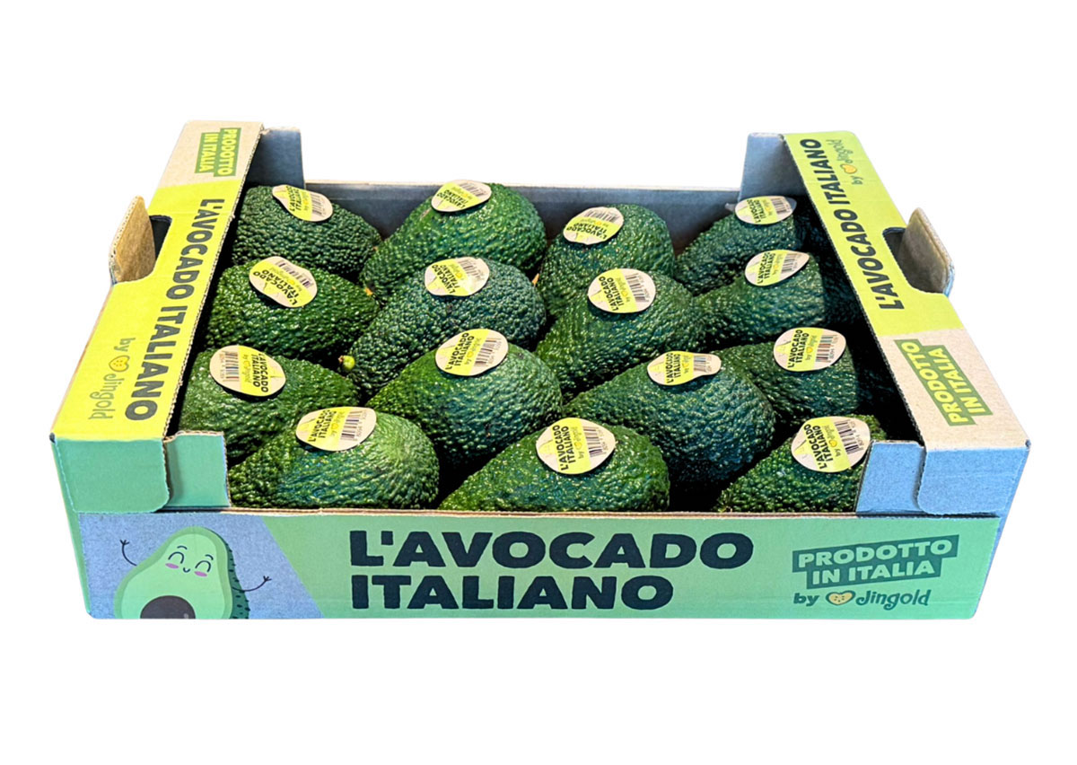 Avocado italiano
