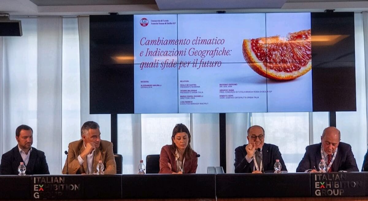 arancia-rossa-sicilia-convegno-arancia-rossa-di-sicilia-igp-macfrut