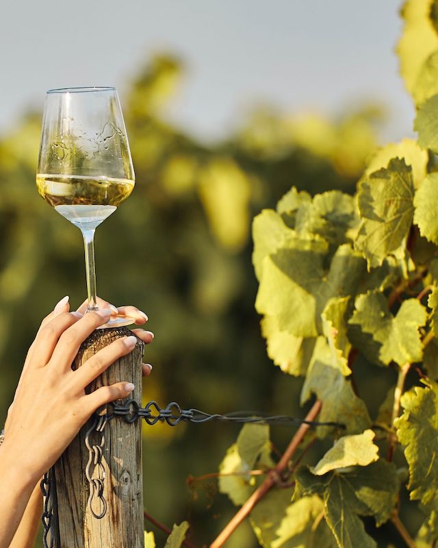 Vinoble 2026